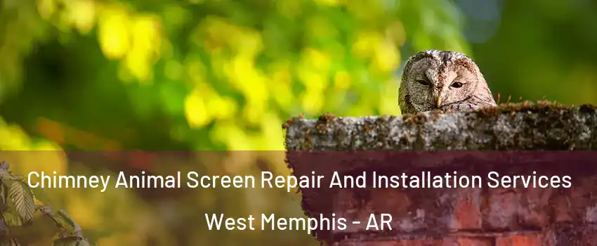  Chimney Animal Screen Repair And Installation Services West Memphis - AR
